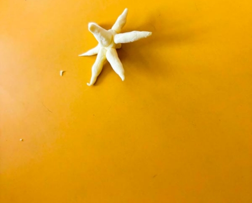 Knetangebot Leopardengruppe